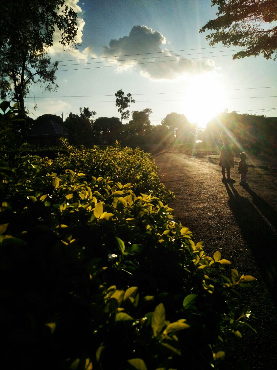 a group of people walking on a path with yellow flowers on the side